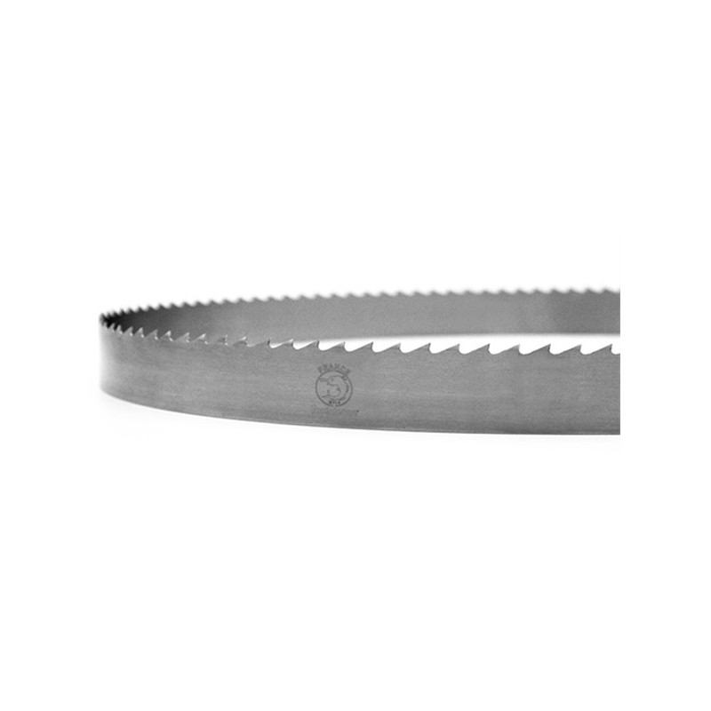 Lame ruban - FOREZIENNE - 4700x15x0,5 mm - pas 10 mm