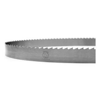 Lame ruban - FOREZIENNE - 4970x35x0,6 mm - pas 10 mm Lame ruban - FOREZIENNE - 4970x35x0,6 mm - pas 10 mm