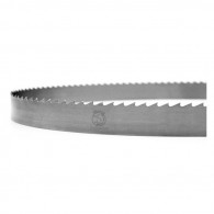 Lame ruban - FOREZIENNE - 4970x35x0,6 mm - pas 10 mm