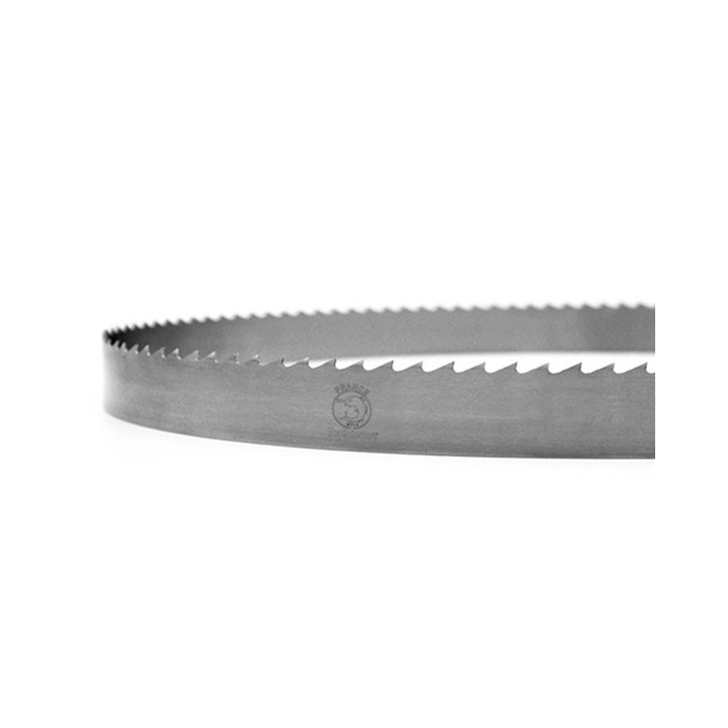 Lame ruban - FOREZIENNE - 4550x15x0,5 mm - pas 10 mm Lame ruban - FOREZIENNE - 4550x15x0,5 mm - pas 10 mm
