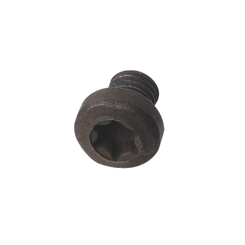 Vis - CMT 99007800 - M4 x 6 mm - Tête Torx T15 bombée