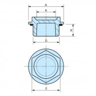 Indicateur de niveau - APAAX 6311030 - 1"1/4"G
