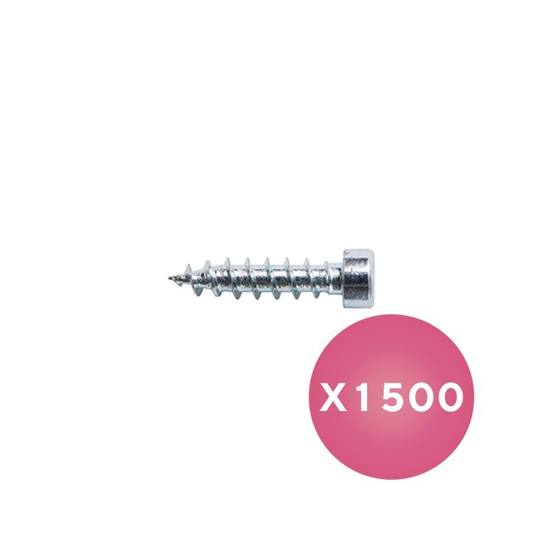 Vis Clamex S-20 - LAMELLO 125255 - Ø 3 x 12 mm - Bte 1500 pièces