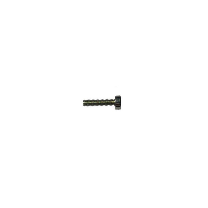 Vis - CMT 99007000 - M2,5 x 3 mm - Tête Torx T8