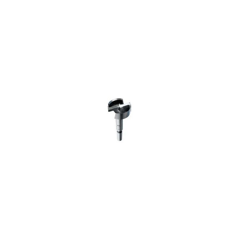 Mèche Forstner - FISCH 031601500 - Ø 15 x l 55 x L 80 mm - Q HEX