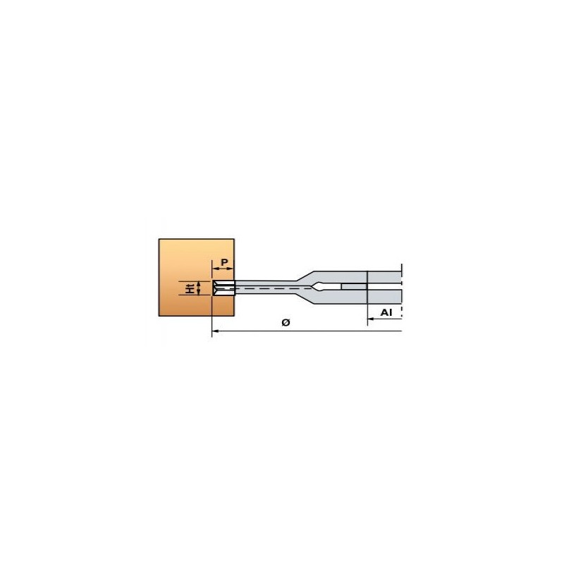 Fraise extensible - LEMAN 937120300510 - Ø 120x5/10x30 mm