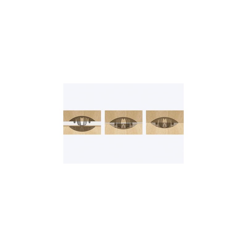 Lamelle - LAMELLO 01145425 - Tenso P-14 - Bte 300 paires
