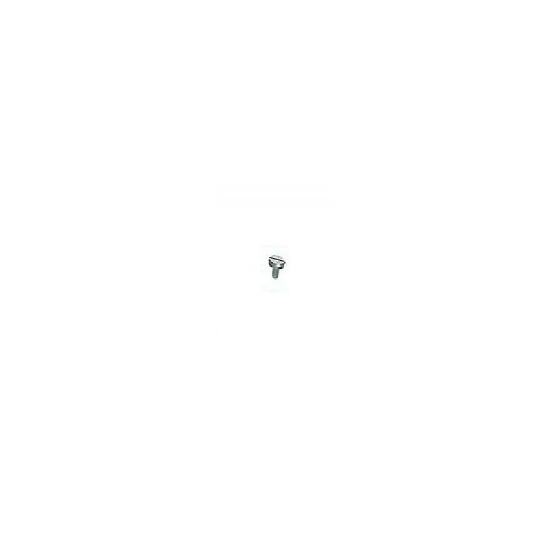 Vis - ELBE VI119424 - M4x6 mm