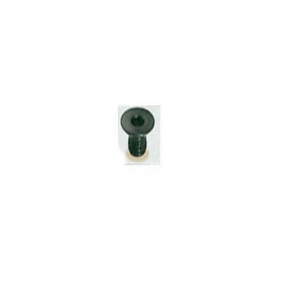 Vis - ELBE VI119505 - pour plaquette W3 - M5x5 mm