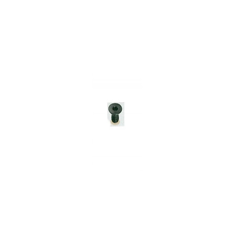 Vis - ELBE VI119505 - pour plaquette W3 - M5x5 mm