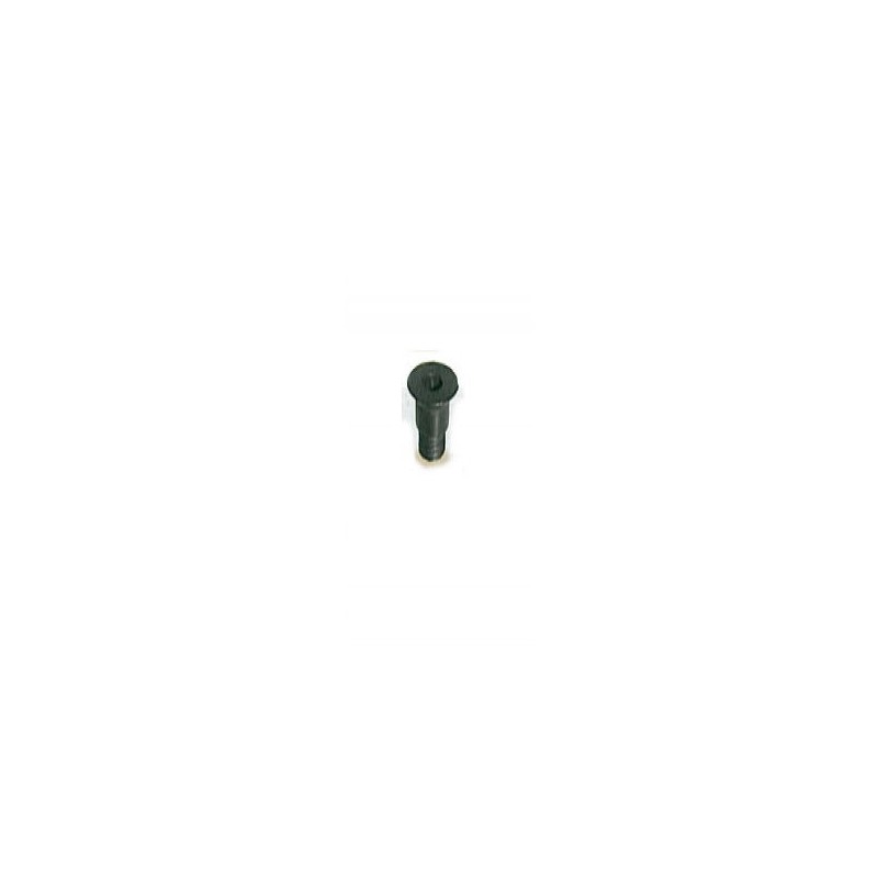 Vis - ELBE VI119506 - pour plaquette W3 - M5x6 mm