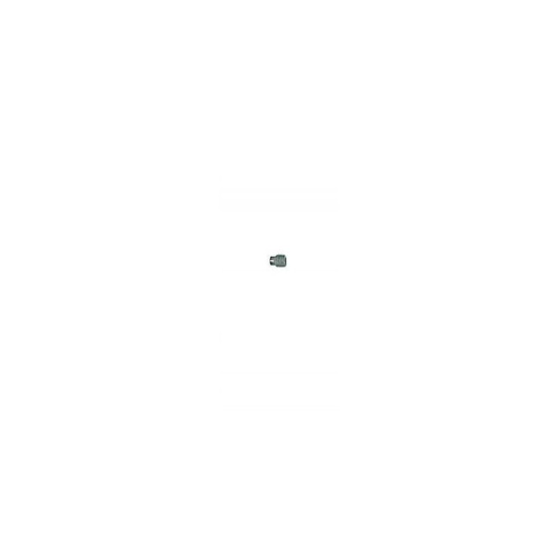 Vis - ELBE VI119610 - M6x10 mm