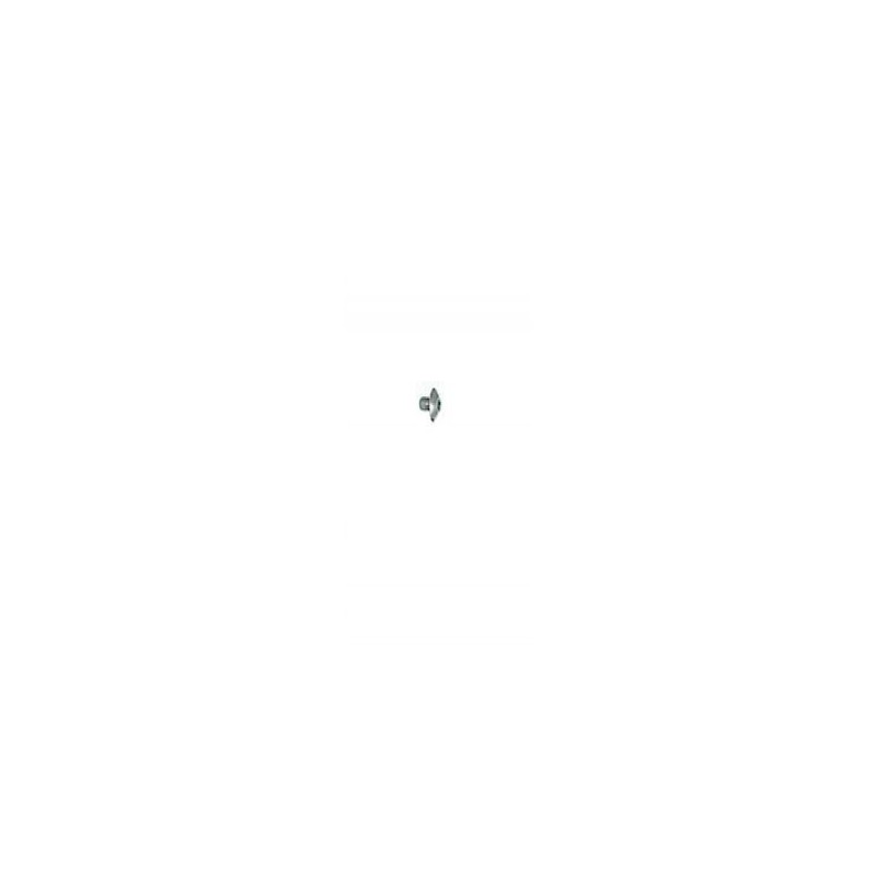 Vis - ELBE VI119704 - Torx T15 - M4x12 mm