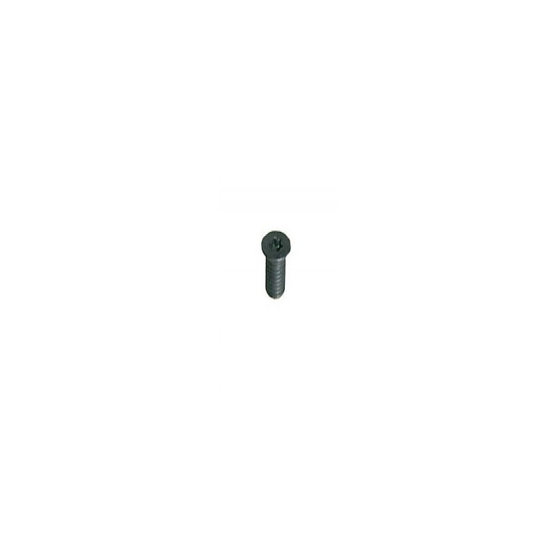 Vis - ELBE VI119705 - Torx T20 - M6x12 mm