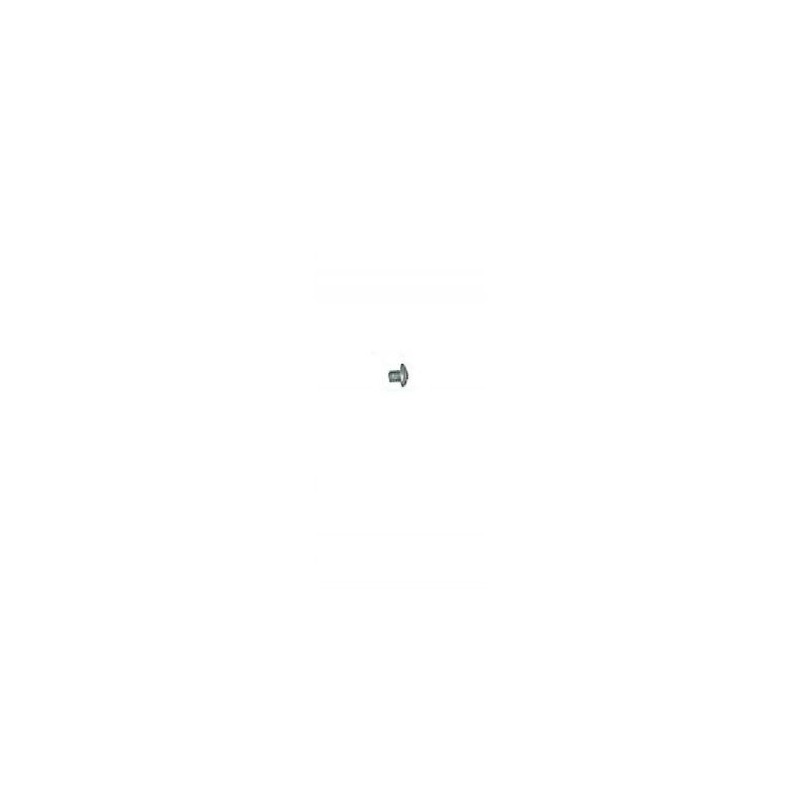 Vis - ELBE VI119708 - M4x6 mm